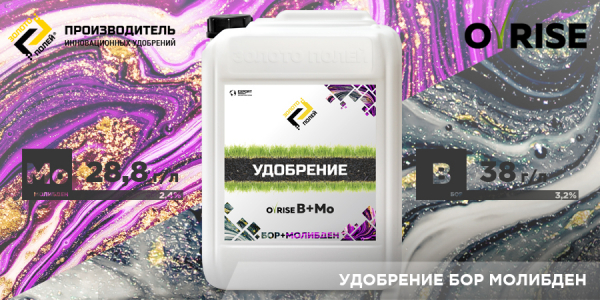 83c2446a0896df0a1f4af01c940ae1d9_L